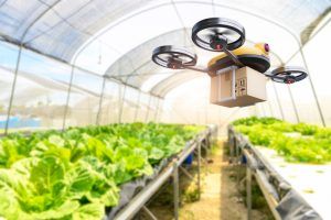 Drone operating inside a hydroponic growing facility
